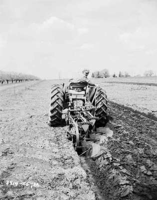 Ploughing [Plowing] a Field, Simcoe, ON