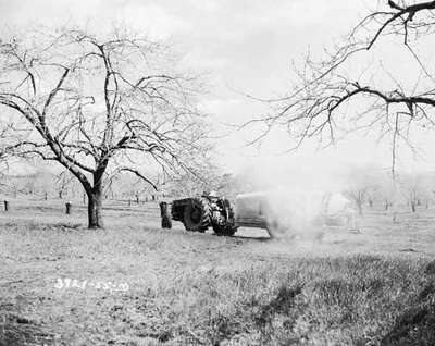 Spraying an Orchard, Simcoe, ON