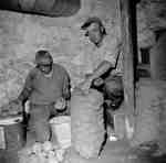 Unidentified Men Bagging Potatoes