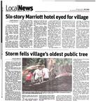 Storm fells village's oldest public tree