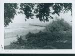 Photograph of a pier at Wilmette beach about 1960