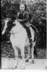 Portrait of Wilbur Allen Bergman seated on a pony