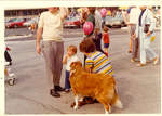 Parents and child with dog