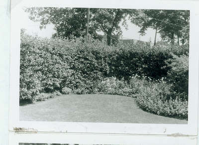 Wilmette Public Library Memorial Garden 1950s No.23