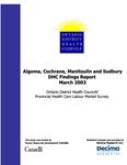 Algoma, Cochrane, Manitoulin and Sudbury DHC findings report : Ontario District Health Councils' provincial health care labour market survey [2003]