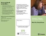 Domestic violence and Ontario Works : what you should know [2006]