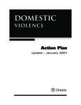 Domestic violence action plan : update, January 2007