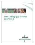 Plan stratégique triennal 2007-2010[ressource électronique]