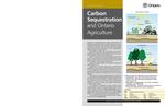 Carbon sequestration and Ontario agriculture [2001]