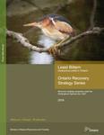 Least Bittern (Ixobrychus exilis) in Ontario : Recovery strategy prepared under the Endangered Species Act, 2007 [2016]