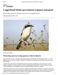 Loggerhead Shrike government response statement [2017]