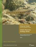 Channel Darter (Percina copelandi) in Ontario : Recovery strategy prepared under the Endangered Species Act, 2007 [2016]