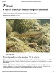 Channel Darter government response statement [2017]