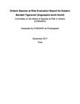 Ontario Species at Risk Evaluation Report for Eastern Banded Tigersnail (Anguispira kochi kochi) : Assessed by COSSARO as Endangered /Committee on the Status of Species at Risk in Ontario (COSSARO) [2017]