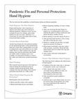 Pandemic flu and personal protection : hand hygiene [2007]