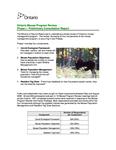 Ontario moose program review : phase 1 - preliminary consultation report [2008]