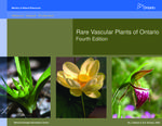 Rare vascular plants of Ontario /M. J. Oldham &amp; S. R. Brinker [2009]