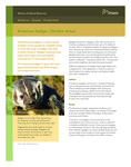 American badger (Taxidea taxus) : [fact sheet] [2008]