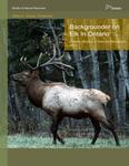 Backgrounder on elk in Ontario [2010]