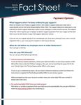 Payment options [2011]
