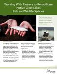 Working with partners to rehabilitate native Great Lakes fish and wildlife species [2011]