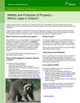 Wildlife and protection of property - what's legal in Ontario? [2010]