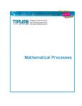 Mathematical processes [2005]