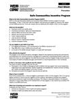 Prevention : safe communities incentive program [2007]