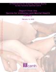 A framework for creating health equity in the Toronto Central LHIN : report from the Centre for Addiction and Mental Health (CAMH) [2009]