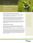 Bogbean Buckmoth : Ontario government response statement [2012]