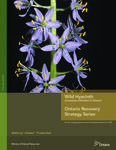 Wild hyacinth (Camassia scilloides) in Ontario /[author, Jarmo V. Jalava] [2013]