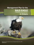 Management Plan for the Bald Eagle (Haliaeetus leucocephalus) in Ontario /Ted (Edward R. ) Armstrong [2014]