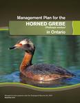 Management Plan for the Horned Grebe (Podiceps auritus) in Ontario /David Anthony Kirk [2014]