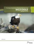 The Ontario Government's Response Statement to the Bald Eagle Management Plan [2015]