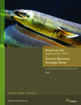 American Eel (Anguilla rostrata) in Ontario /[Rob MacGregor, John Casselman, Lorne Greig, John Dettmers, W. A. Allen, Larry McDermott, Tim Haxton] [2013]