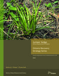Juniper Sedge (Carex juniperorum) in Ontario /Holly Bickerton, Adele Crowder, Todd Norris, Hilary Knack [2015]
