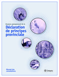 Examen quinquennal de la déclaration de principes provinciale : résumé des consultations [2002]