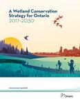 A Wetland Conservation Strategy for Ontario 2017-2030
