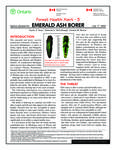 Emerald ash borer /Taylor A. Scarr, Deborah G. McCullough, Gordon M. Howse [2002]