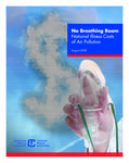 No breathing room  : national illness costs of air pollution : summary report [2008]