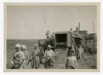 Young urban workers helping to harvest grain